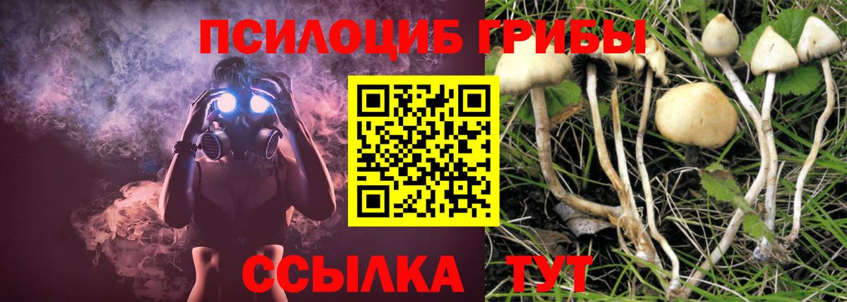 Севастополь  Псилоцибиновые грибы Cubensis  Вход с VPN  Псилоцибиновые грибы Psilocybe 